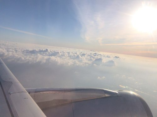 flight