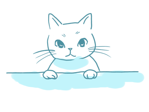 あおねこ