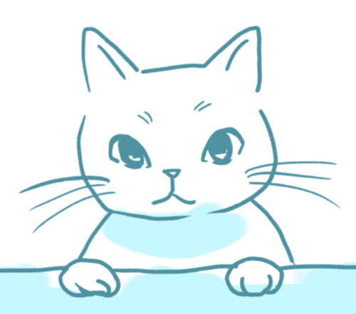 あおねこ