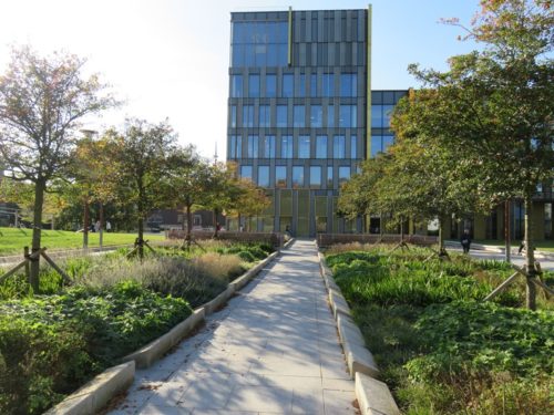 ユニバーシティ・スクエアの通路