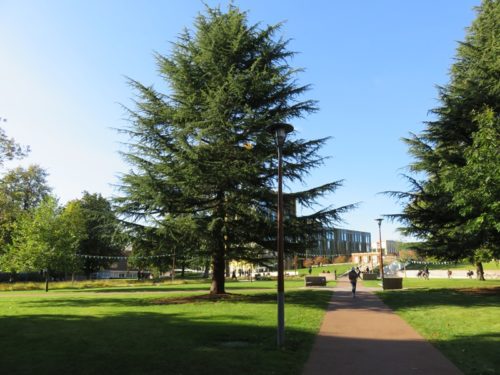 バーミンガム大学のキャンパス内のオープンスペース