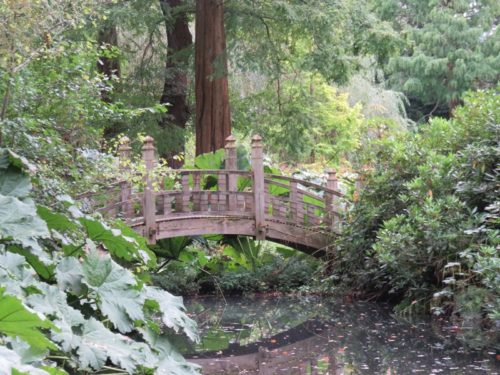 ウィンターボーン・ハウスガーデンの日本庭園