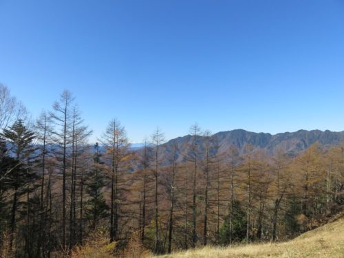 雲取山の登山中の眺め