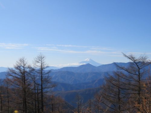 雲取山から富士山を見る