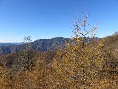 雲取山の紅葉と快晴の空