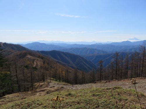 雲取山の山頂間近の景色