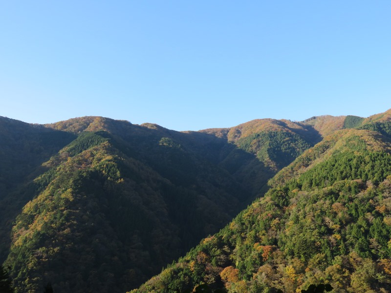 雲取山からの景色