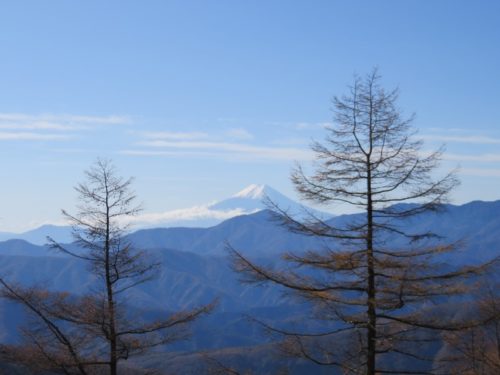 雲取山からの富士山