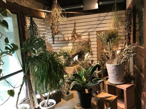 ROUTE BOOKSの植物