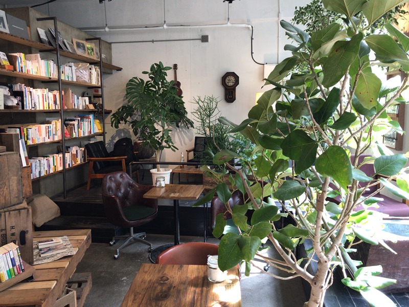 本と植物のあるブックカフェROUTE BOOKS