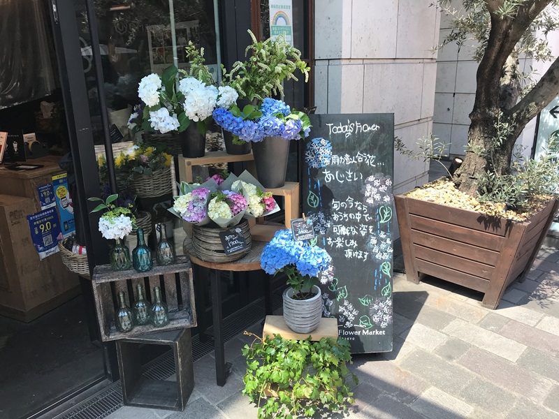 青山フラワーマーケット ティーハウス赤坂Bizタワー店の外観（紫陽花の季節に来店）